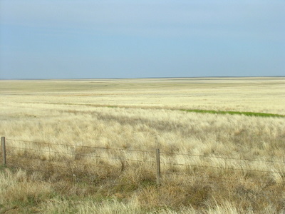 Commanche Grasslands, Fall, SE Colorado.